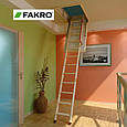 Горищні сходи Fakro LTK Termo (Н 280см) 120 х 60, фото 3