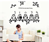Декоративная виниловая наклейка стикер Совы на ветке (размер 95х75 см)