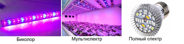 Виды спектральных фитоламп Фитолампы