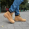 Черевики Timberland Icon 6-Inch Premium Yellow, фото 7