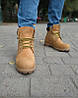 Черевики Timberland Icon 6-Inch Premium Yellow, фото 8