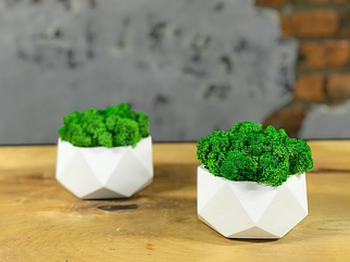 Кашпо з бетону зі скандинавським мохом.13 см Бетонний горщик зі Стабілізованим мохом/Бетонний горщик із мохом