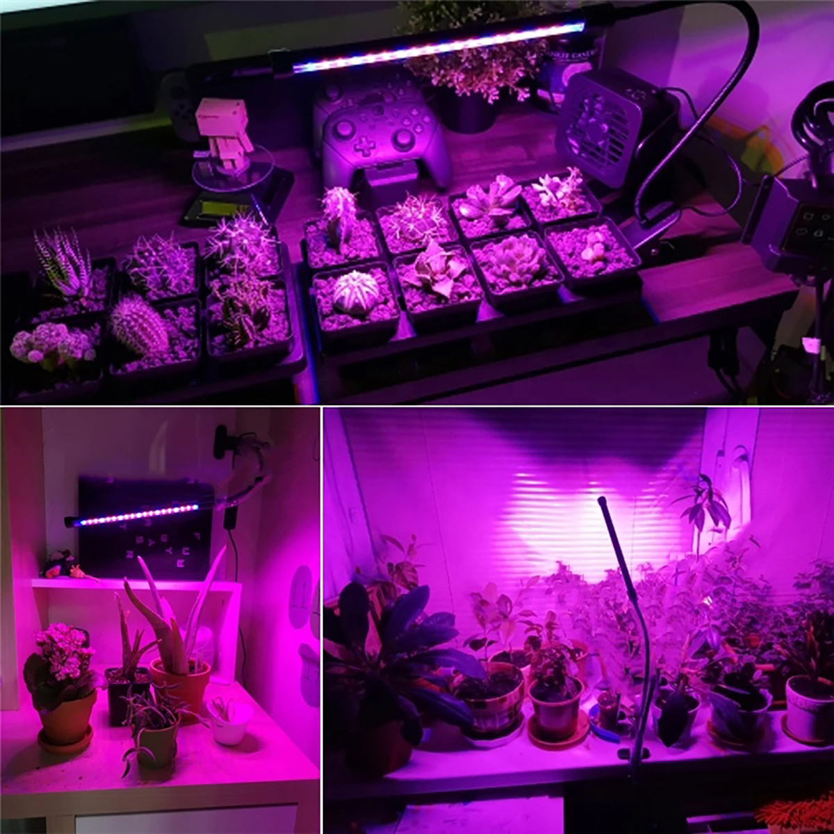 Led лампа для растений Wi-Grain фитолампа с таймером 2 ветки. Красный и синий LED, фото 4