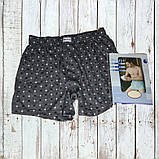 Чоловічі труси сімейні DoReMi Туреччина, бавовна 100%, розмір 54-56 (7), фото 4