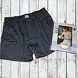 Чоловічі труси сімейні DoReMi Туреччина, бавовна 100%, розмір 54-56 (7), фото 6