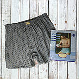 Чоловічі труси сімейні DoReMi Туреччина, бавовна 100%, розмір 54-56 (7), фото 2