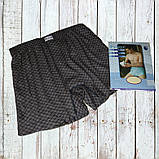 Чоловічі труси сімейні DoReMi Туреччина, бавовна 100%, розмір 54-56 (7), фото 5