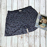 Чоловічі труси сімейні DoReMi Туреччина, бавовна 100%, розмір 54-56 (7), фото 8