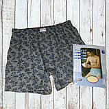 Чоловічі труси сімейні DoReMi Туреччина, бавовна 100%, розмір  50-52 (5), фото 2