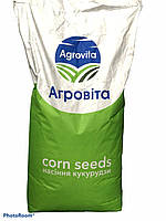 Семена кукурузы кормовой Солонянский 298 СВ (ФАО 290) среднеспелый гибрид универсального назначения 80000 шт