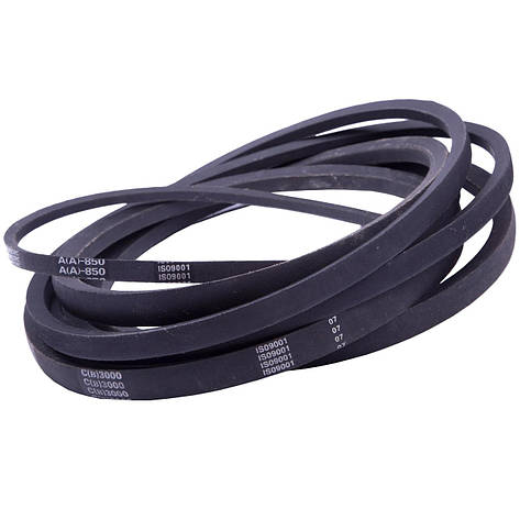 Пас А/S/E 1320, фото 1