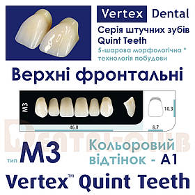 Зуби штучні акрилові п’ятишарові шарові Vertex Quint (вертекс квінт), верхні фронтальні, тип зубів M3, A1