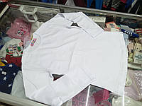 Реглан білий футболка для хлопчика дівчинки однотонна біла 116 122 152