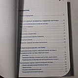 Бер М., Фротшер М. Топічний діагноз у неврології по Петеру Дуусу, фото 5