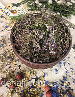 Чабрец тимьян ползучий трава (чебрець) 1 кг