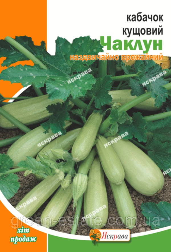 Кабачок кущовий Чаклун пакет 20г