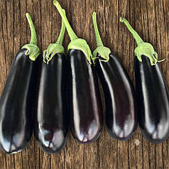 Насіння баклажану Казимір F1 (Casimir F1) Clause 1000