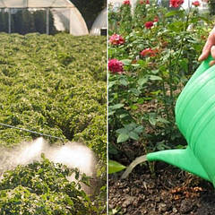 Водорозчинні Комплексні добрива