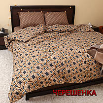 Євро максі набір постільної білизни 200*220 з Бязі "Gold" №154425AB Черешенка™, фото 5