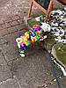 Комбінезон зимовий для собаки "Райдужний" S-XXL. Одяг для собак, фото 9