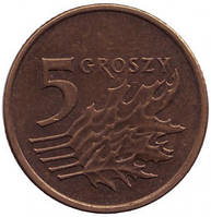 Дубовые листья. Монета 5 грошей. 1990-2021 год, Польша. (В)