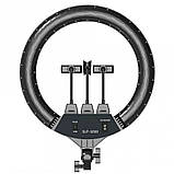 Кільцева світлодіодна LED лампа RIAS SLP-G500 45см на 3 держателя з пультом ДУ і чохлом (4_00546), фото 2