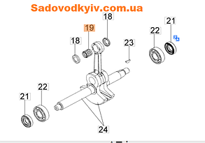 Сепаратор шатуна для мотопомпи Oleo-Mac WP 300 (072700046R)