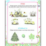 Геній за 5 хвилин Легке навчання від 2 років Авт: Чала О. Вид: Торсінг, фото 3