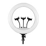 Кільцева світлодіодна LED лампа RIAS RL-21 54см на 3 держателя з пультом ДУ і чохлом (4_00553), фото 2