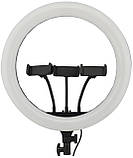 Кільцева світлодіодна LED лампа RIAS MJ36 RGB 36см Різнокольорова на 3 держателя USB дротове управління, фото 2