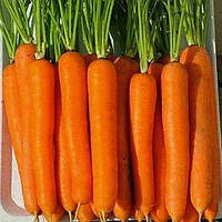 Морковь Без сердцевины Агроном семена 10 г