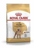 Сухой корм для взрослых собак породы пудель Royal Canin Poodle Adult 1.5кг