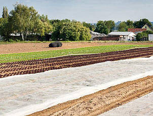 Агроволокно біле Marma Agroterm (Польща), фото 3