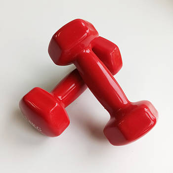 Гантелі для фітнесу з вініловим покриттям SP-Planeta Веселка TA-0001-3_red (2х3кг) (Червоний)