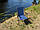Крісло для природи, пікніка, кемпінгу, риболовлі, туристичний стілець зі спинкою "Комфорт-СН", фото 7