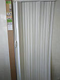 Двері гармошка-ширма No1 Дуб Білі розсувні міжкімнатні пластикові глухі 810х2030х0,6 мм, фото 2
