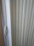 Двері гармошка-ширма No1 Дуб Білі розсувні міжкімнатні пластикові глухі 810х2030х0,6 мм, фото 6