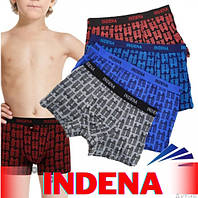 Трусы детские боксеры стрейчевые х/б Indena underwear 95528, хлопок, 20032159