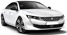 Захист двигуна на Peugeot 508 (c 2018--)