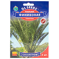 Пальма Финиковая 3 шт Gl Seeds