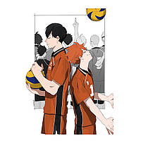 Постер плакат аниме Волейбол 42х29 см А3 (poster_0249)