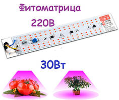 Світлодіодна фітоматриця для рослин 220В LEDTEX SMD 2835 повного спектру 30Вт, вбудований драйвер 20*4см