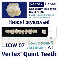 Зуби акрилові на планці нижні жувальні п'ятому ятишарові шарові Vertex Quint (вертекс квінт), тип зубів
