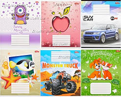 Зошит 12арк клітинка, мікс видів тм Мрії Збуваються