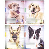 Зошит 24арк лінійка, мікс видів тм Мрії Збуваються