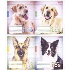 Зошит 24арк лінійка, мікс видів тм Мрії Збуваються, фото 1