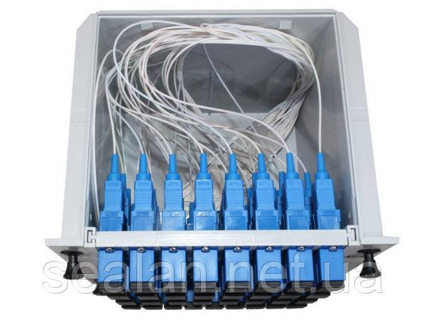 Құлдардың жыныстық қатынасқа түсуін жазалау