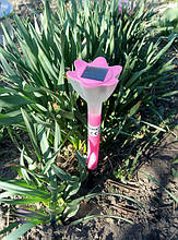 CAB116 газонний садовий пластиковий світильник на сонячній батареї (малинового кольору)