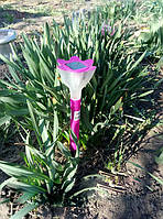 CAB116 газонный садовый пластиковый светильник на солнечной батарее (сиреневого цвета)