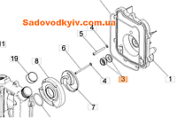 Сальники насоса для мотопомпы Oleo-Mac WP 300 (55022019)